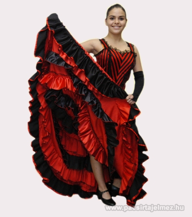 Latin ruha